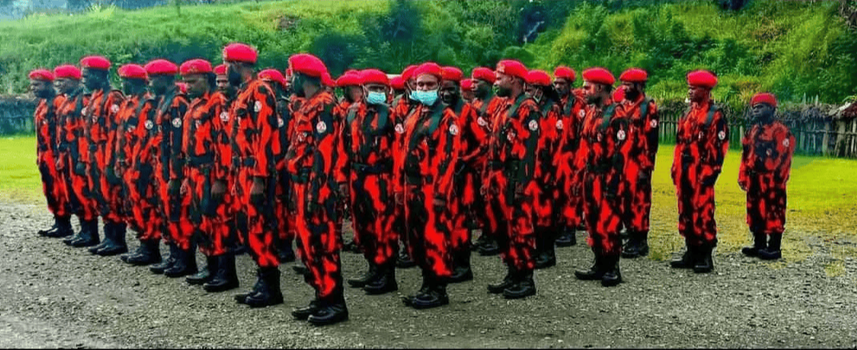 Bupati Yuni Wonda Ajak Pemuda Pancasila Jaga Kondusifitas di Puncak Jaya - Cover Image